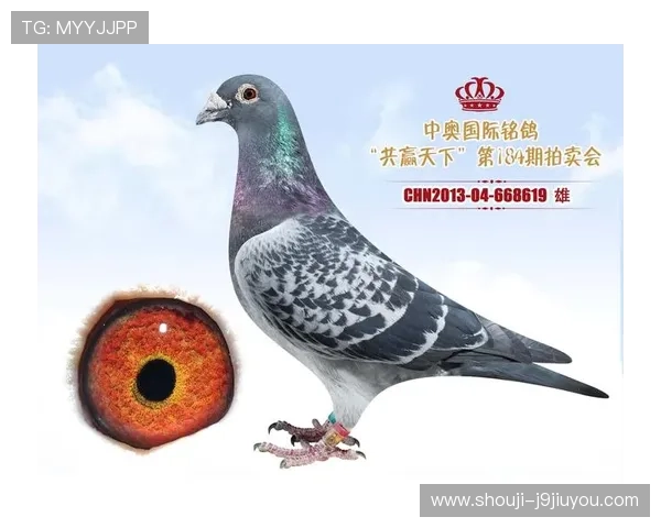 安全保障AG国际厅全站登录,防止账号被盗的多重安全措施解析 安全保障AG国际厅全站登录,防止账号被盗的多重安全措施解析