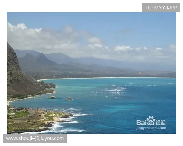 九游集团菲律宾分公司详细介绍及未来发展战略分析