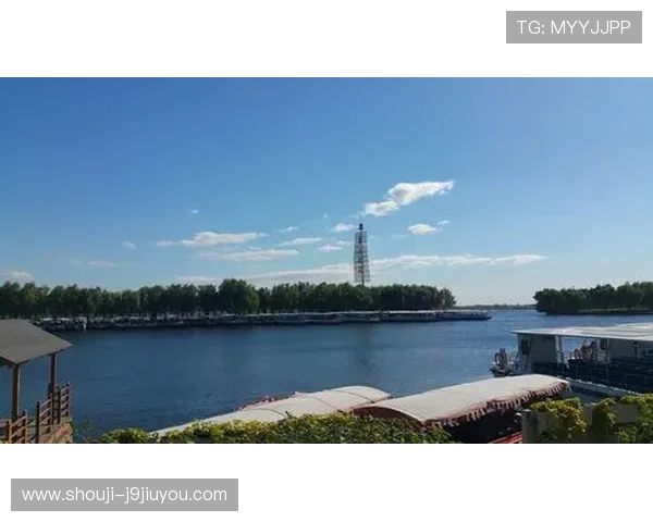 结合9游滚球盘数据分析提升投注策略实现持续盈利的实战经验