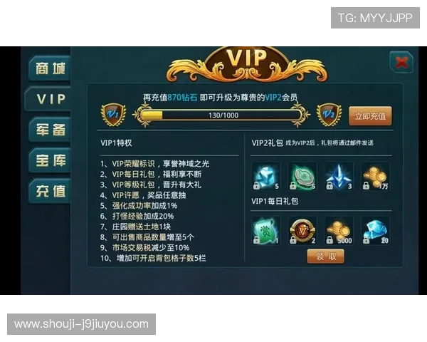 九游娱乐VIP权益与普通玩家的区别详细分析帮助你做出明智选择 九游娱乐VIP权益与普通玩家的区别详细分析帮助你做出明智选择